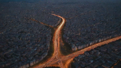 Ankara Gurleyik arasi kac km?