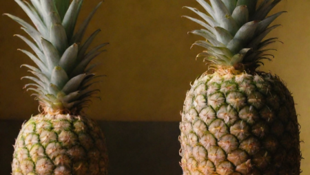 Soyulmamış ananas kaç gün dayanır?